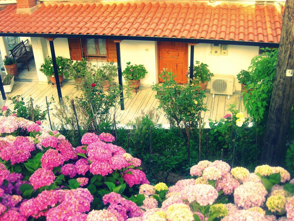 Kastrí Dafni Apartments מראה חיצוני תמונה